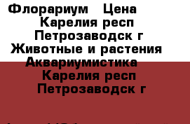 Флорариум › Цена ­ 650 - Карелия респ., Петрозаводск г. Животные и растения » Аквариумистика   . Карелия респ.,Петрозаводск г.